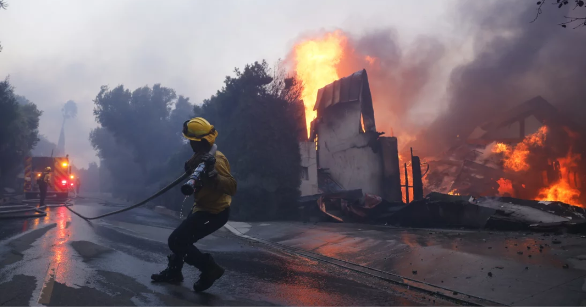 Devastating Pacific Palisades Wildfire Impact