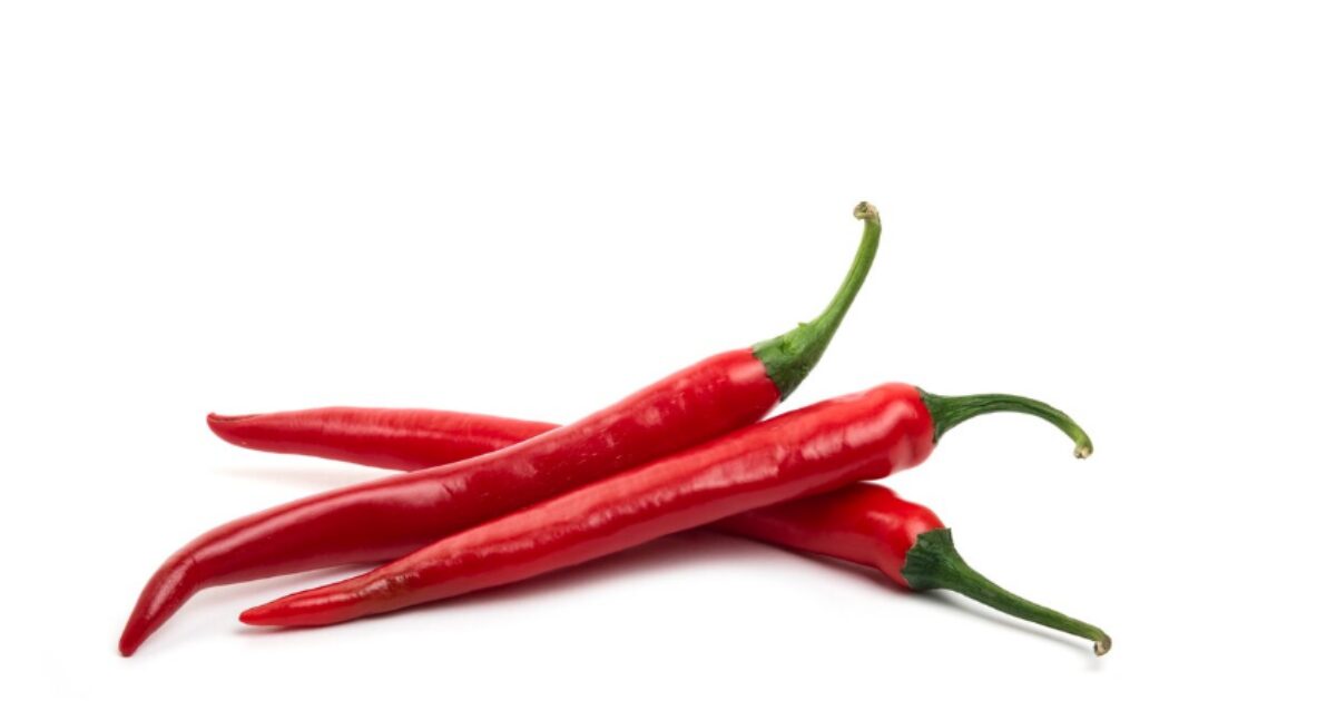 hottest chili peppers