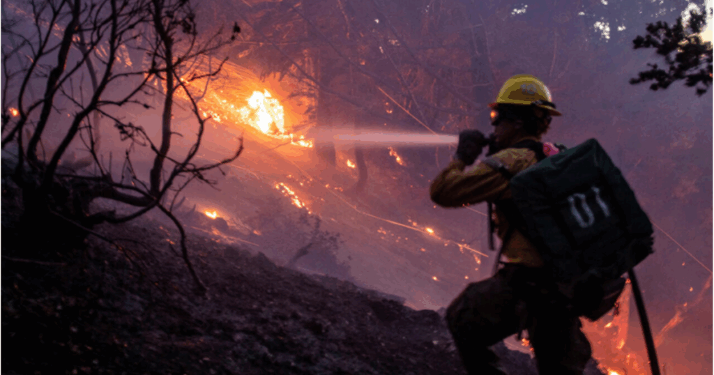 Día Mundial de la Prevención de Incendios Forestales