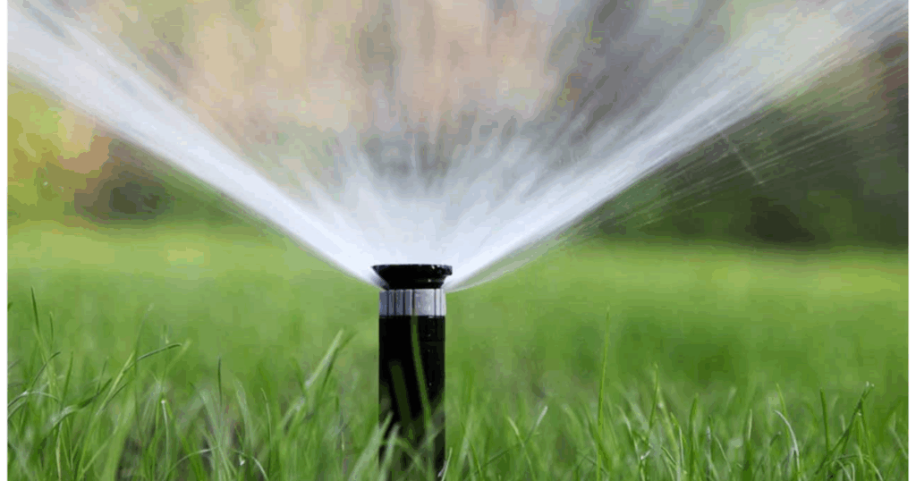 Irrigation in Sacramento returns