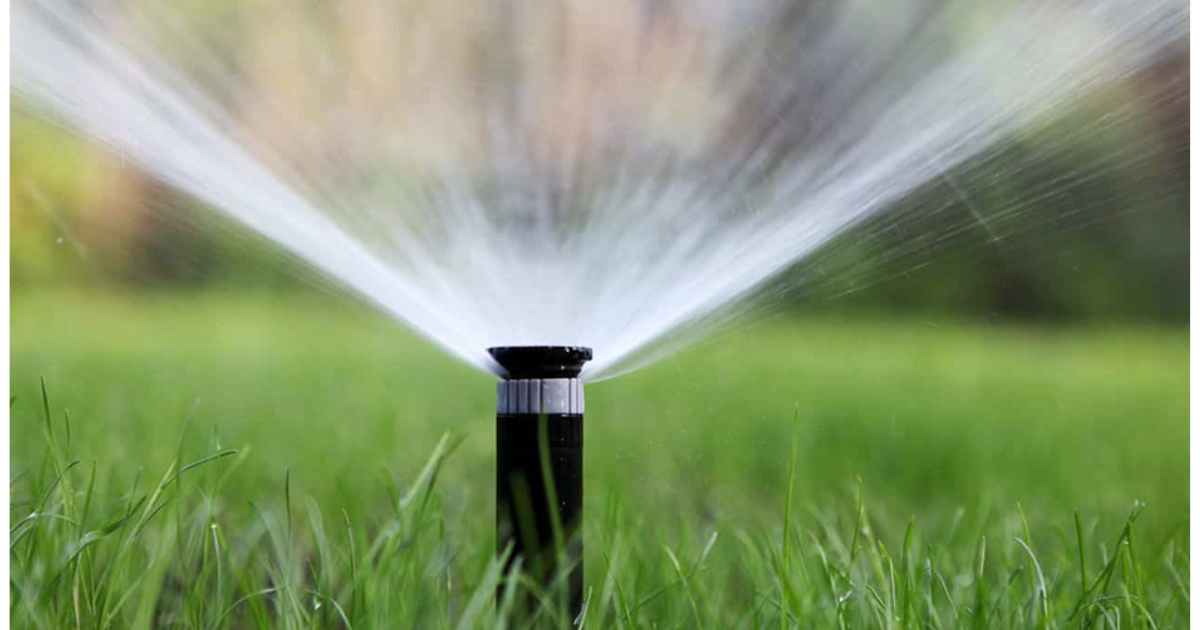 Irrigation in Sacramento returns