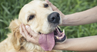 revista española en secretomanto