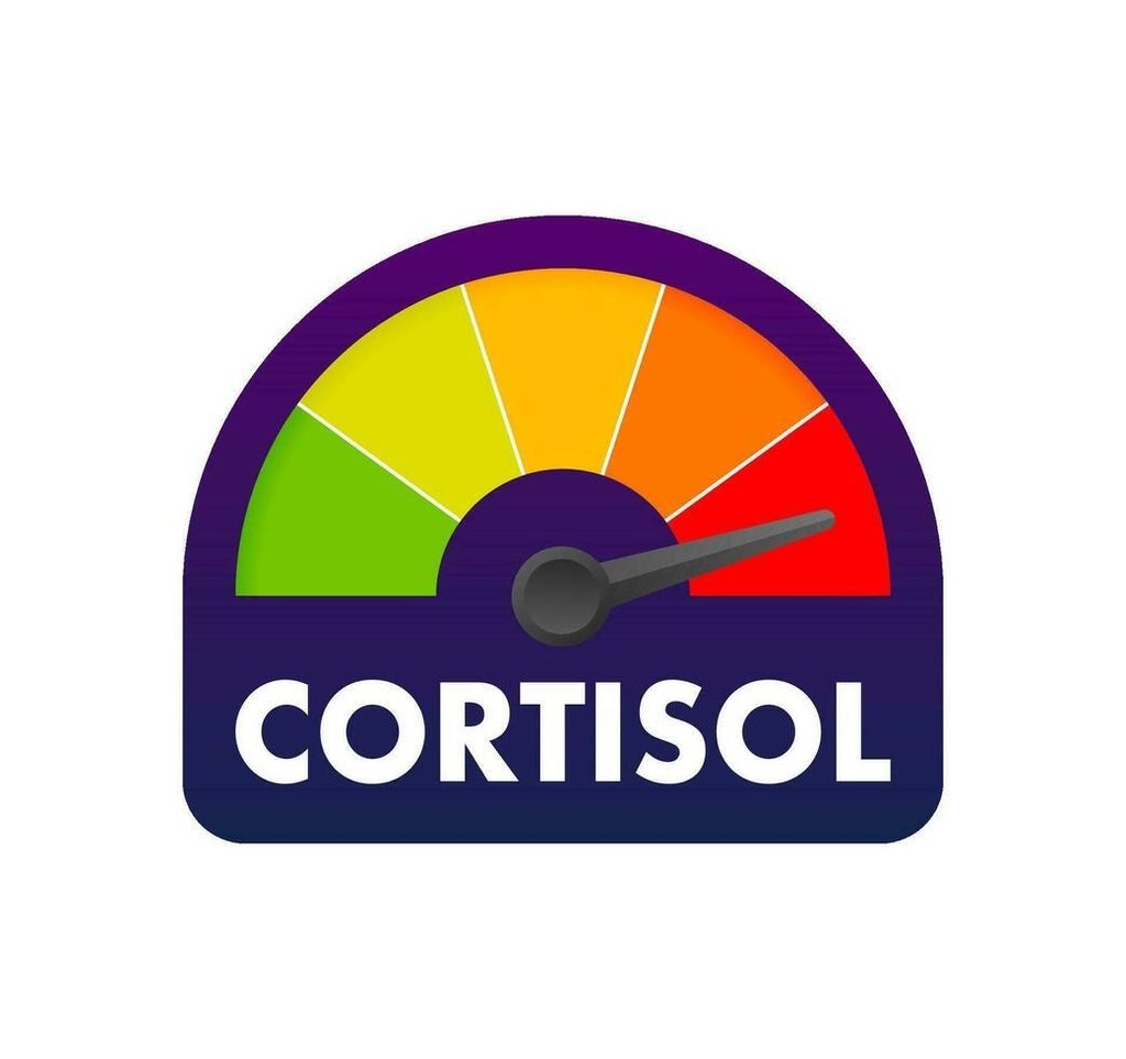 Señales de cortisol alto: ¿Cómo saber si el estrés está afectando tu salud? 1 image 11